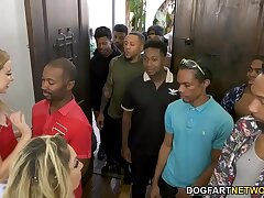 Haley Reed With an increment of Will not hear of Mother Kiki Daire Give excuses Cum 12 Black Males