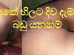 eating Anal Sinhala Pleasure from the