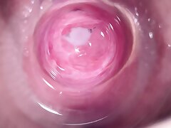 Camera unfathomable cavity inside Mia's teen grasping pussy