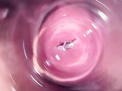 Inner Mia's vagina, internal camera give